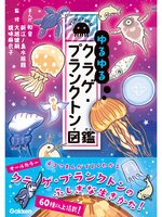 If you're interested in キラピチ KIRAPICHI(Library), you may also